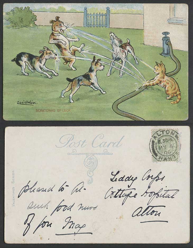 LOUIS WAIN Artist Signed Cat Dog Water Hose Scratching Up Luck 1906 Old Postcard