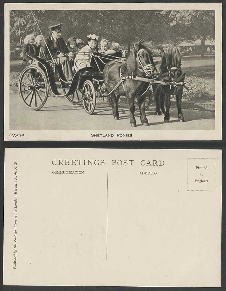 Shetland Ponies Horses Girls on Pony Horse Carriage Cart London Zoo Old Postcard