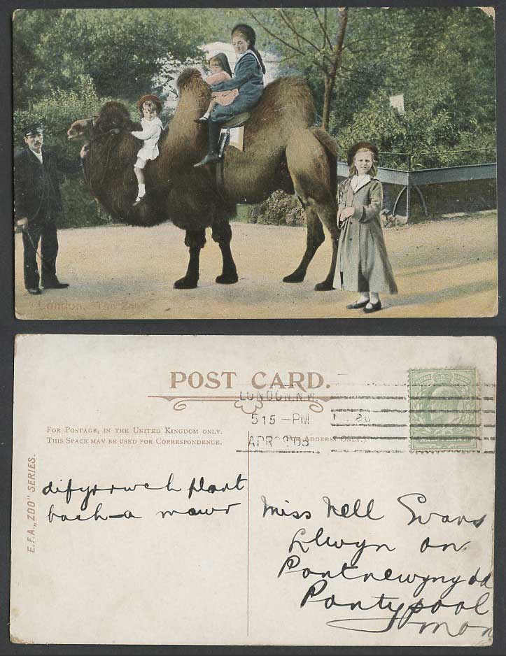 Bactrian Camel Ride London Zoo Children Zookeeper Girl 1905 Old Colour Postcard