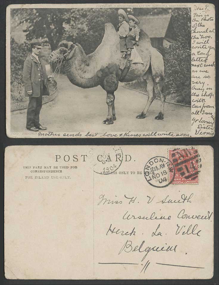 Bactrian Camel Ride Zoo Animal Zookeeper, Children Little Boys 1904 Old Postcard