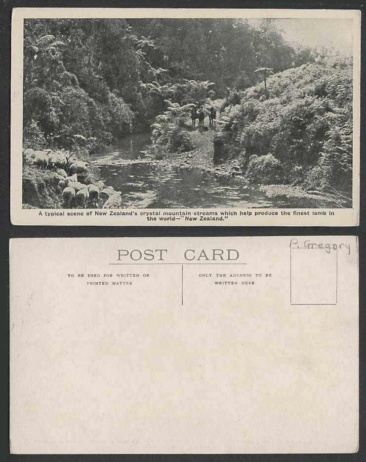 New Zealand Old Postcard Crystal Mountain Streams SHEEP Horse Riders River Scene