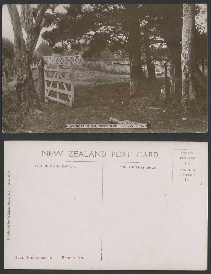 New Zealand Old Real Photo Postcard Waihopai Bush Invercargill Bridge Gate Trees