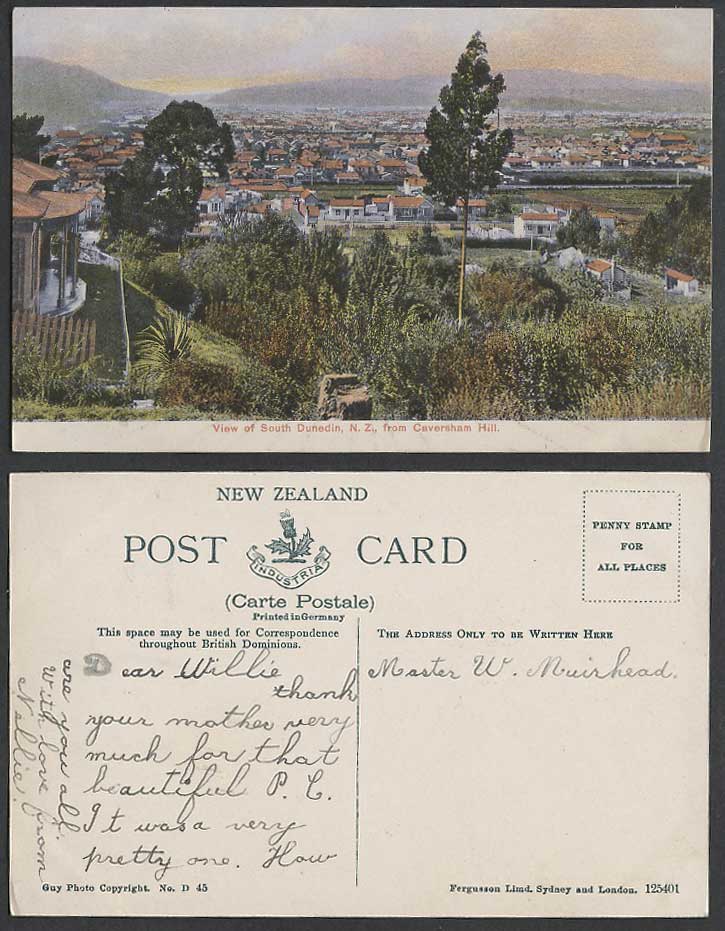 New Zealand Old Colour Postcard South Dunedin View from Caversham Hill, Panorama