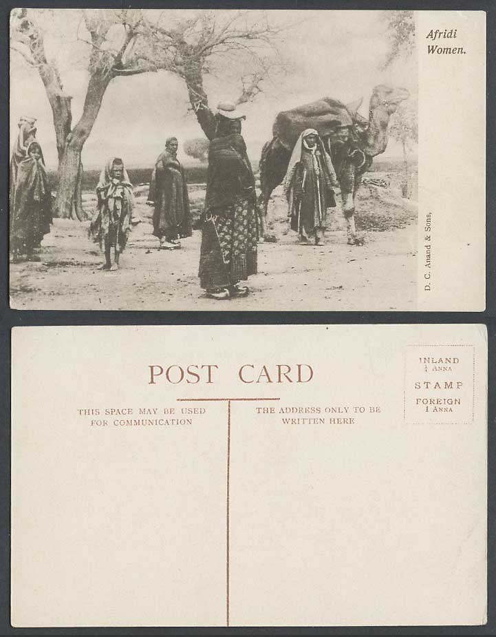 Pakistan Afghanistan India Old Postcard Native Afridi Women Girl, Camel Costumes