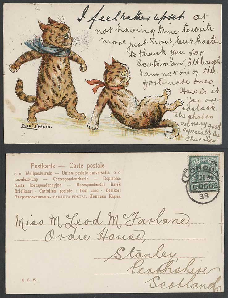 LOUIS WAIN Signed Cats Write Away I Rather Upset 1903 Old Postcard Hooded London