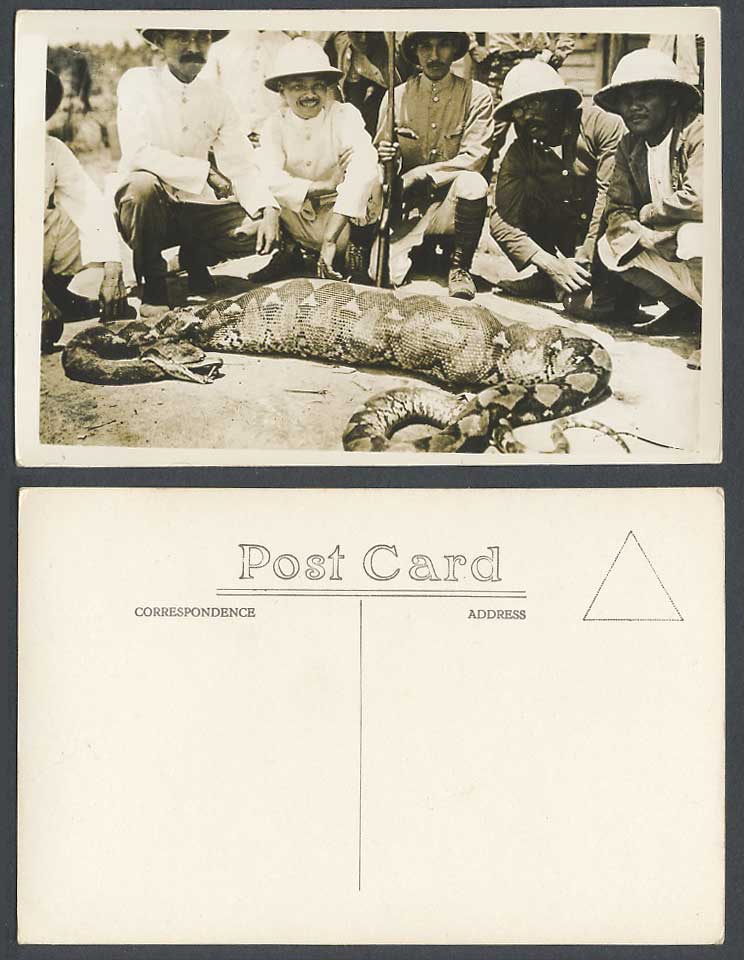 Singapore Deer in STOMACH of a Python SNAKE Hunters Gun Old Real Photo Postcard