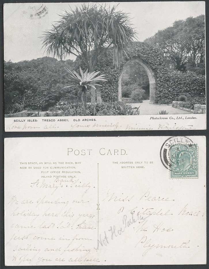 Scilly Isles Tresco Abbey Old Arches 1904 Vintage Postcard Arch Gate Garden Tree
