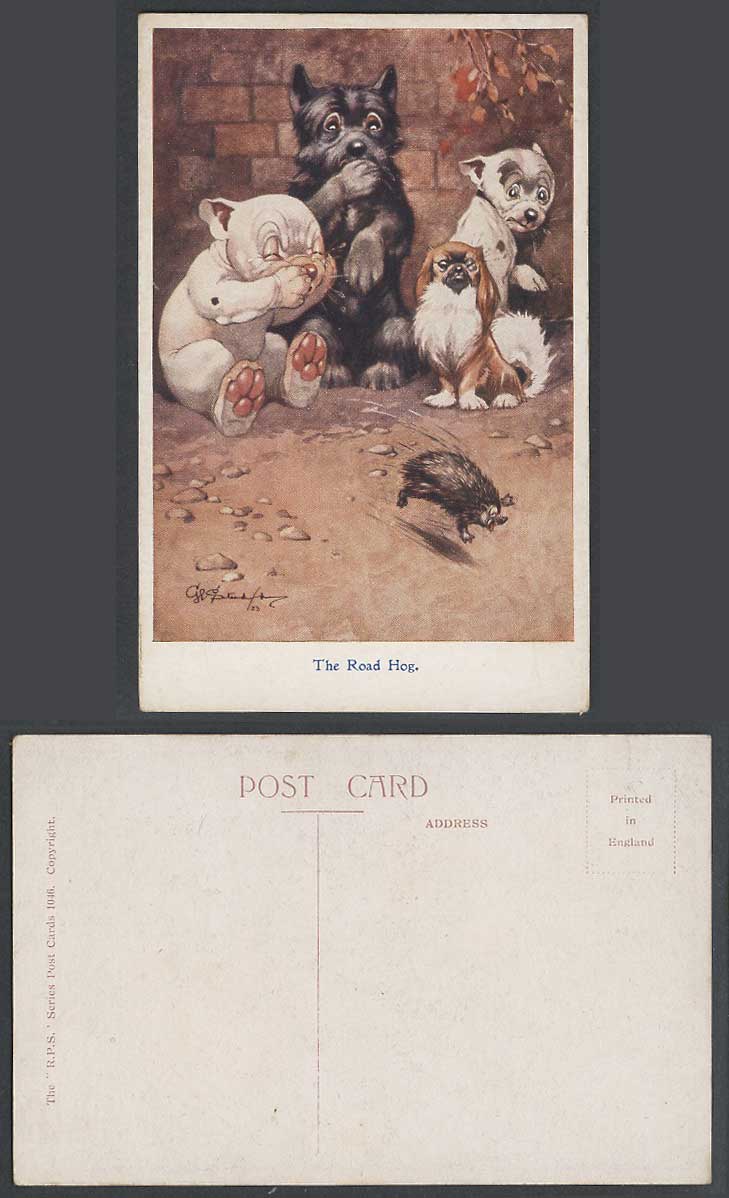 BONZO DOG GE Studdy Old Postcard The Road Hog Hedgehog Dogs Puppies Animals 1046