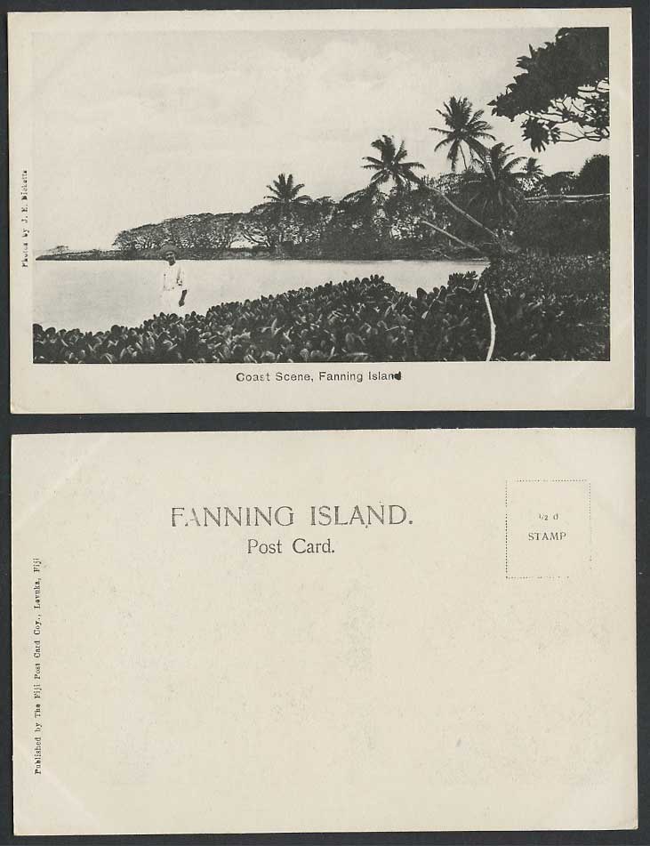Fanning Island, Coast Scene Palm Trees a Man & Panorama Kiribati Old UB Postcard