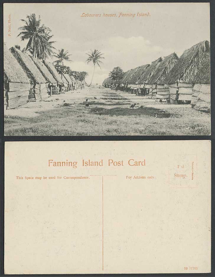 Fanning Island Kiribati Labourers Houses Native Street Scene Birds Old Postcard