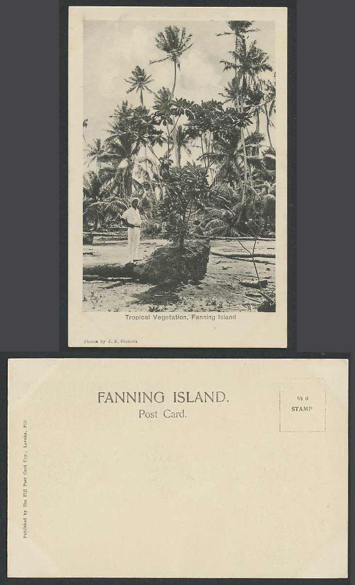 Fanning Island Tropical Vegetation Palm Tree Native Man Kiribati Old UB Postcard
