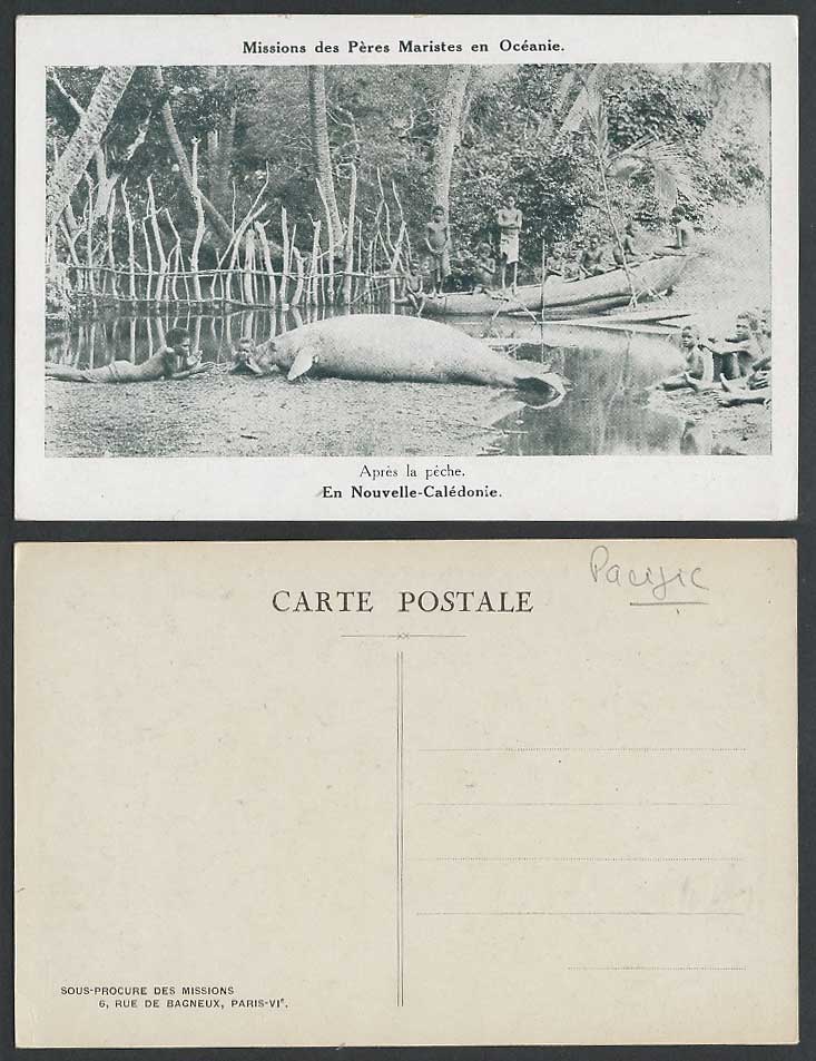 New Caledonia Old Postcard Sea Cow Manatee Native Boys After Fishing, Boat Canoe