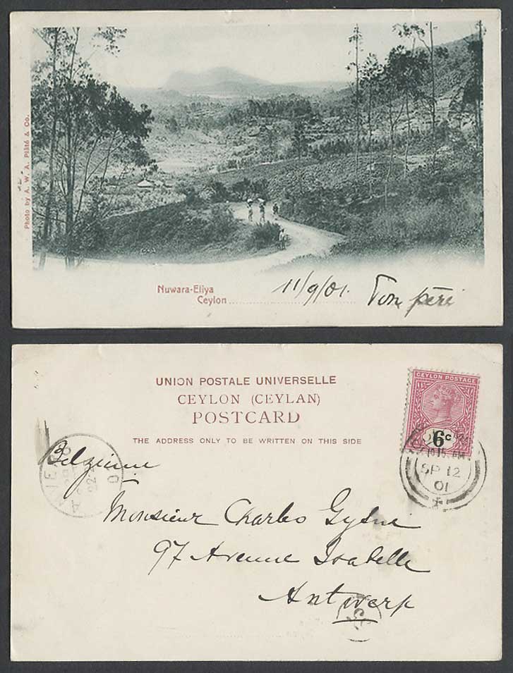 Ceylon Colombo to Antwerp QV 6c 1901 Old UB Postcard Nuwara Eliya Road Man & Dog