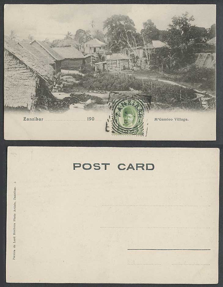 Zanzibar 3c 1908 Old UB Postcard M'Gamleo Village Native House Hut Road Tanzania