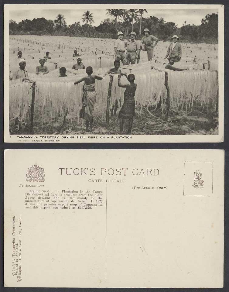 Tanganyika Tanga, Native Women Drying Sisal Fibre Plantation Old Tuck's Postcard