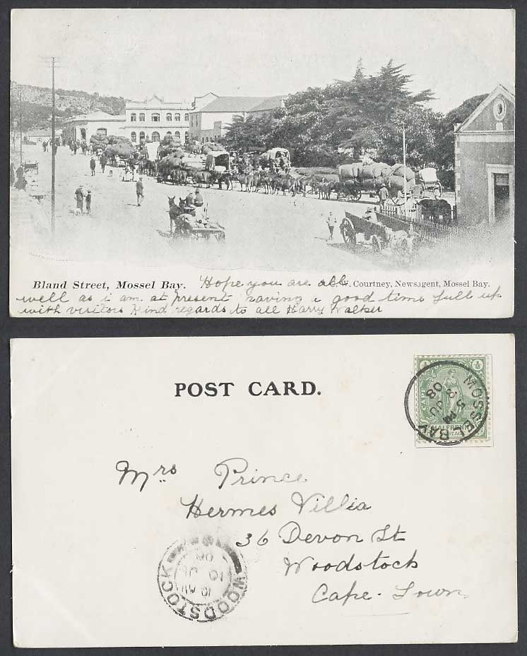 South Africa 1/2d 1908 Old UB Postcard Bland Street Scene Mossel Bay Horse Carts