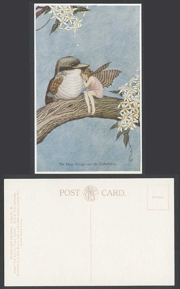 IR & G OUTHWAITE Old Postcard THE FAIRY BRIDGET and KOOKABURRA Bird Girl Flowers
