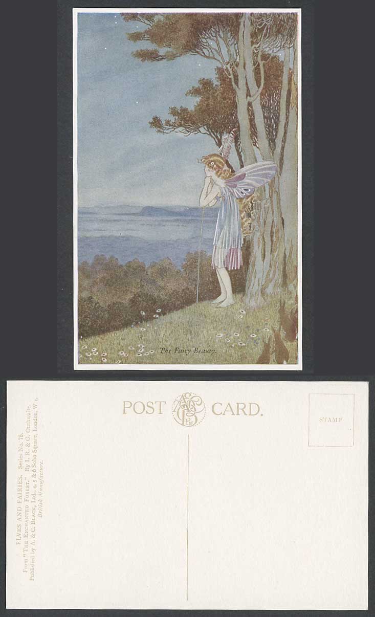IR&G OUTHWAITE Old Postcard THE FAIRY BEAUTY Elves Fairies Enchanted Forest Tree