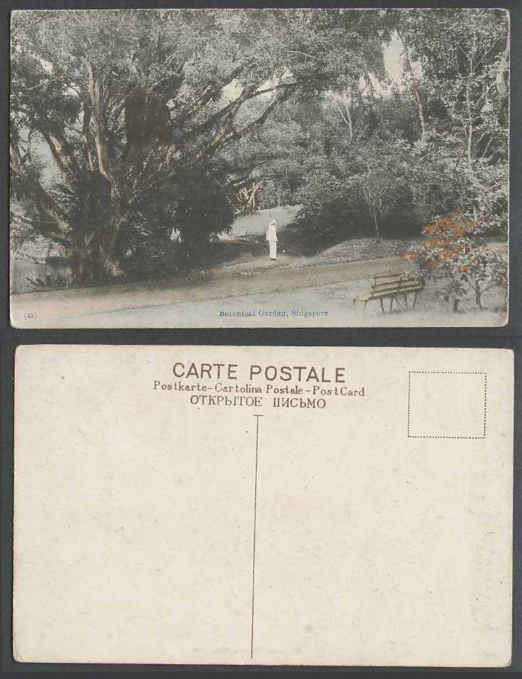 Singapore Old Hand Tinted Postcard Botanical Garden Botanic Gardens Man Trees 49