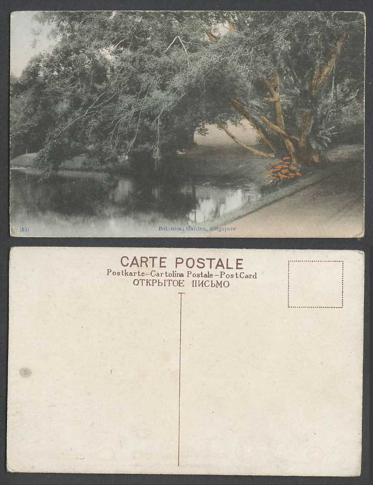 Singapore Old Hand Tinted Postcard Botanical Garden Botanic Gardens Lake Tree 50