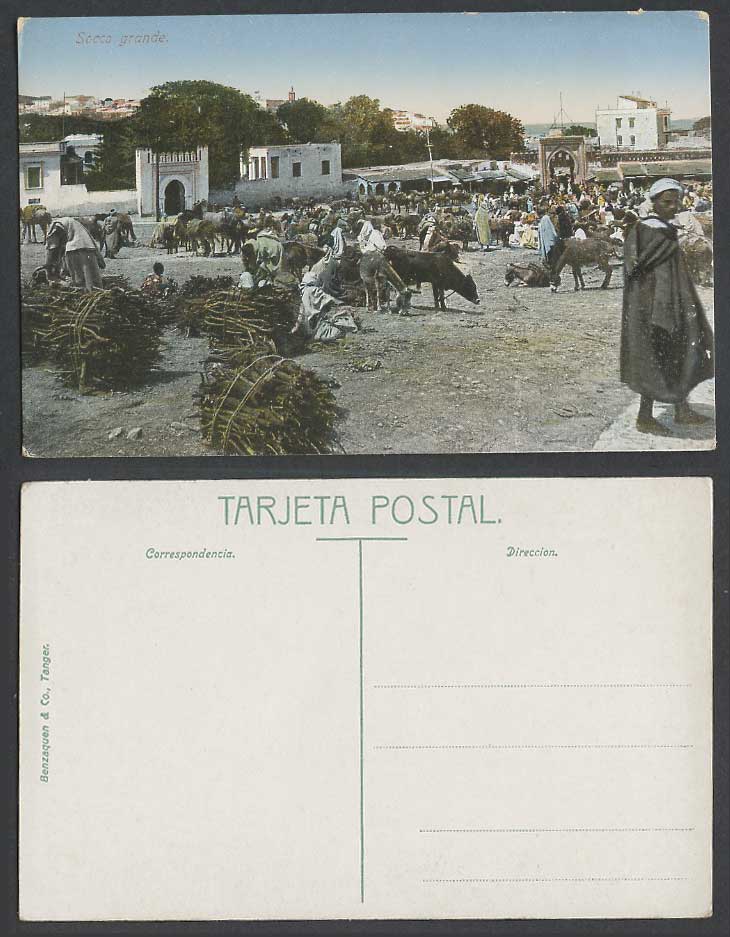 Morocco Old Color Postcard Tangier Tanger Socco Grande Cattle Donkey Market Gate