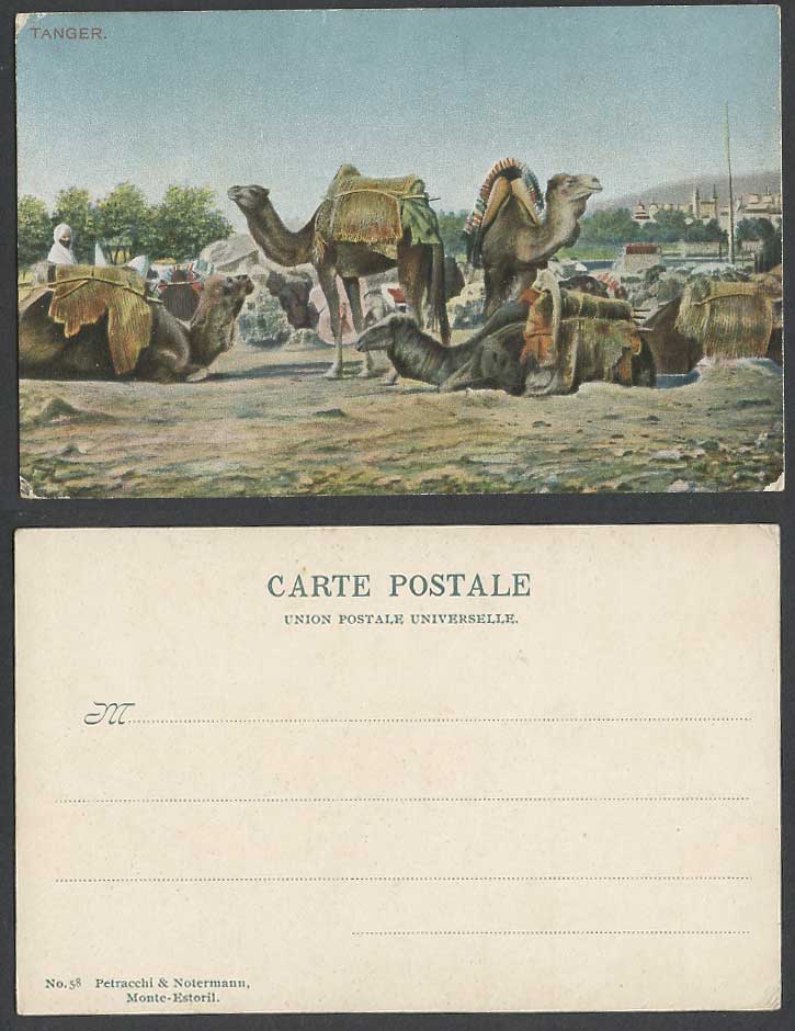 Morocco Old Postcard Tangier Tanger, Camels Resting, Camel Caravan au Grand Zoco