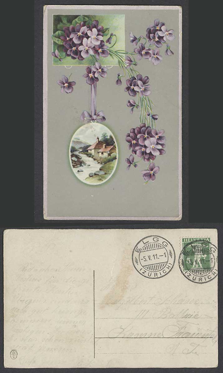 Switzerland 5c 1911 Old Color Postcard Violet Flowers Cottage Houses River Scene
