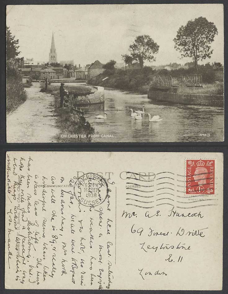 Chichester from Canal 1938 Old Postcard Boy Feeding Swans Birds Cathedral Church
