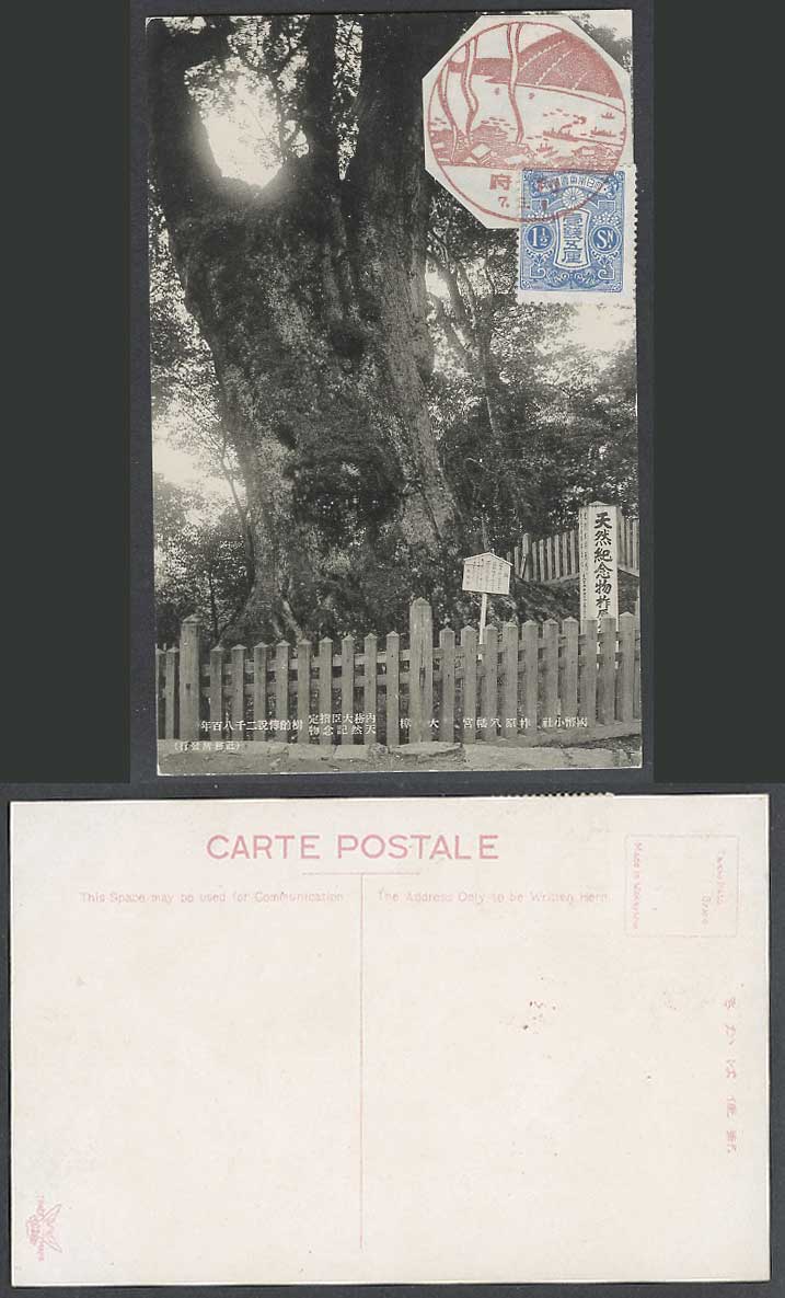 Japan Old Postcard Yusuhara Hachimangu Yasuhara Shrine Camphor Tree Oita 柞原八幡宮大樟