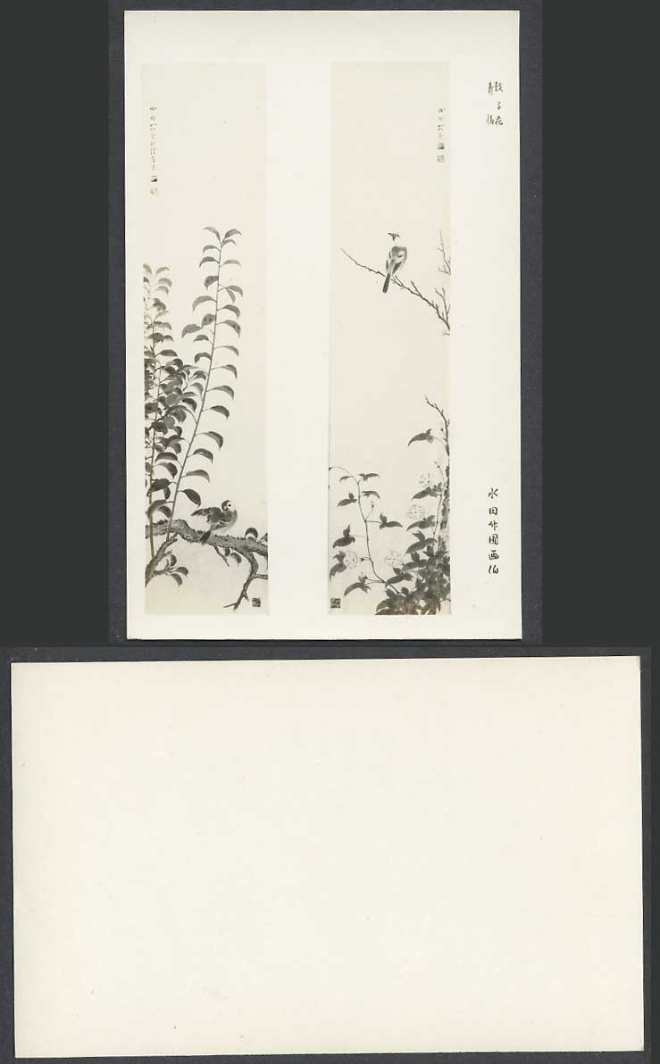 Japan Art Artist Drawn Old Postcard Bird Flowers Vatica Mangachapoi 鼓子花青梅 水田竹圃畫伯