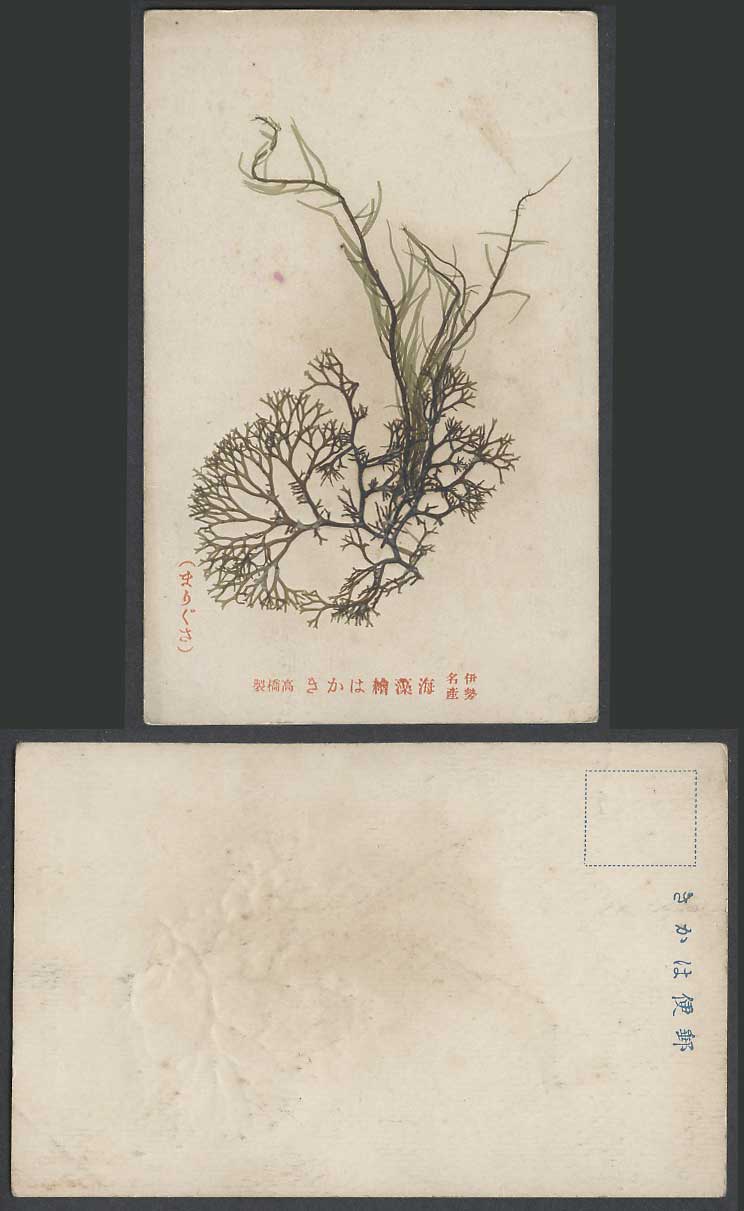 Japan Old Postcard Seaweed, Ise Famous Product, Made by Takahashi 伊勢名產  海藻繪  高橋製