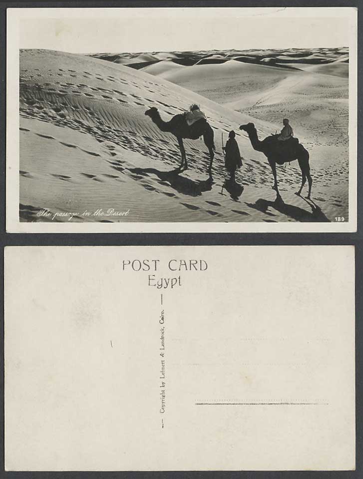 Egypt Old Real Photo Postcard Passage in Desert, Camels Sand Dunes Camel Riders