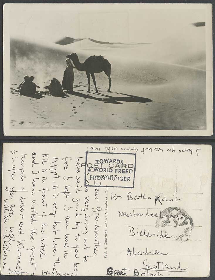 Egypt Old RP Postcard Rest in Desert Camel Sand Dunes, A World Freed from Hunger