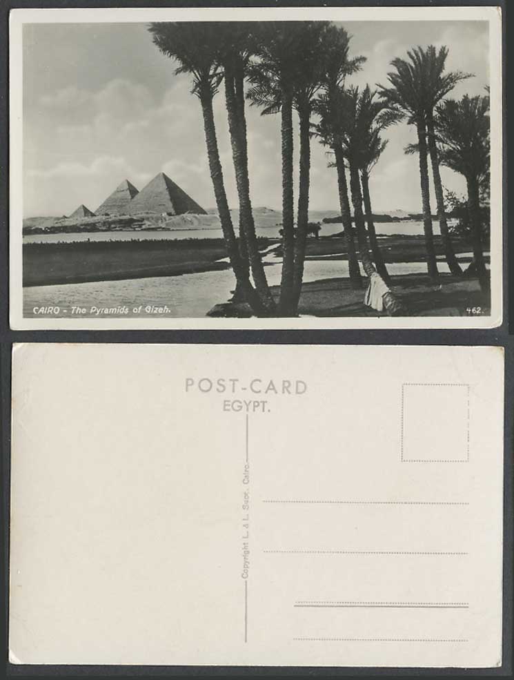 Egypt Old Real Photo Postcard Cairo The Pyramids of Gizeh Giza Palm Trees L&L462