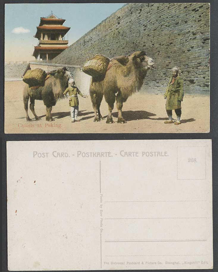 China Old Postcard Mongolia Mongolian Camels at Peking, Man Boy Tower Wall Walls