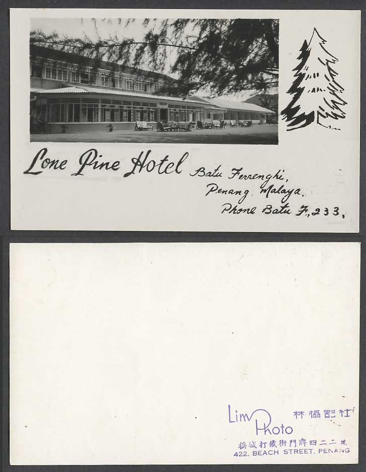 Penang Old Real Photo Postcard Lone Pine Hotel Batu Ferrenghi Malaya, Deckchairs