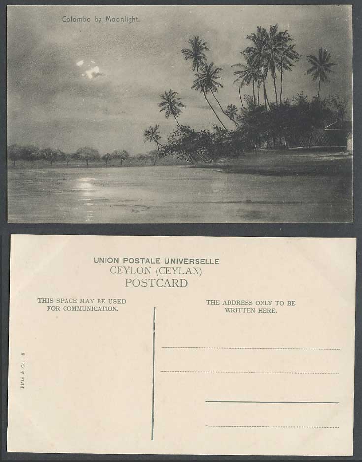 Ceylon Old Postcard Colombo by Moonlight Moon Night Palm Trees Panorama Lake N.6