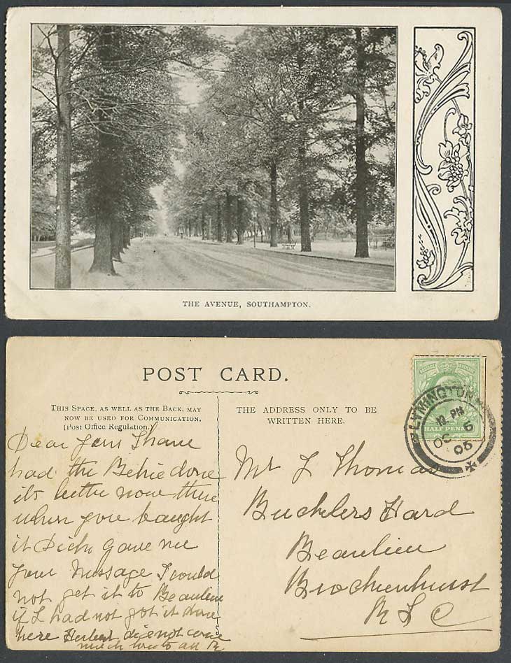Southampton 1905 Old Postcard The Avenue Tree-Lined Street Scene Trees Hampshire