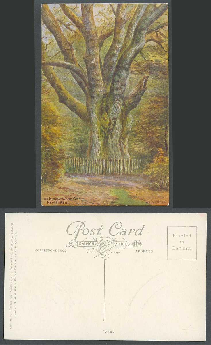 A.R. Quinton Old Postcard The Knightwood Oak New Forest Hampshire, Big Tree 2862