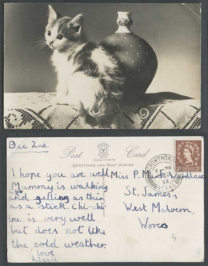 Cute Little Kitten Cat Lamp Base QEII 2d 1956 Old Real Photo Postcard Pet Animal