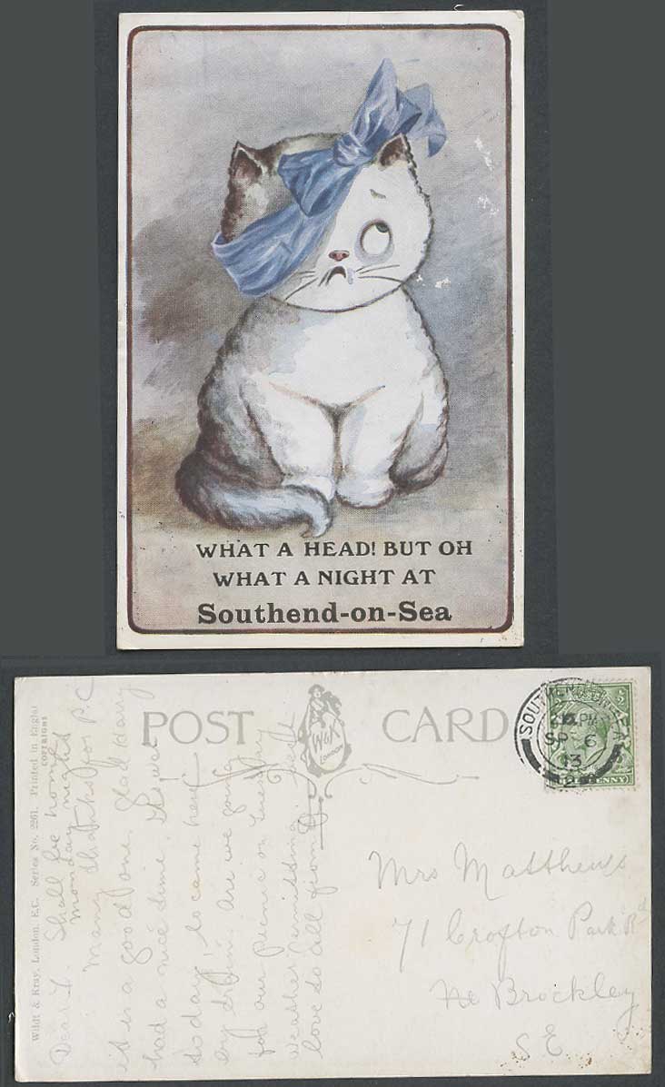 Cat Kitten What a Head! But Oh What a Night at Southend-On-Sea 1913 Old Postcard