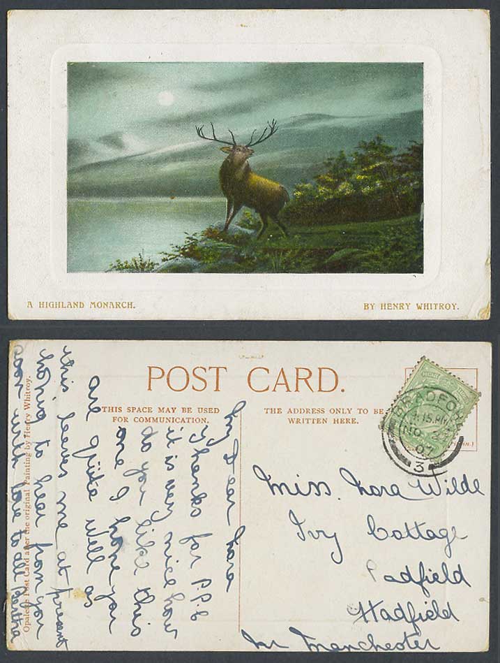 Scottish DEER Stag A Highland Monarch Henry Whitroy 1907 Old Postcard Moon Night