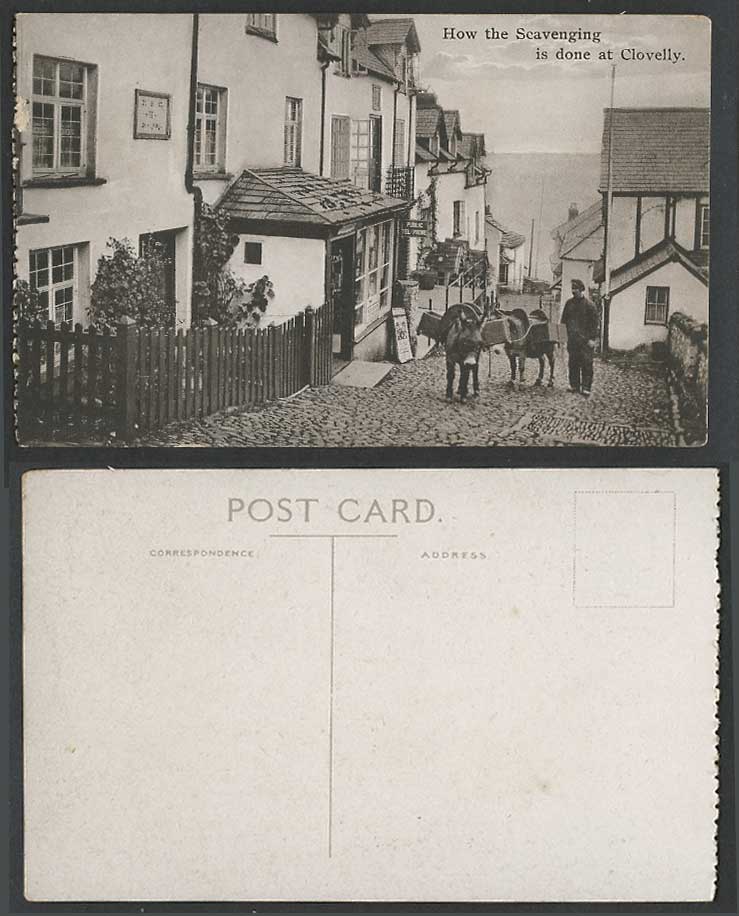 Devon, Donkey, How Scavenging is Done at Clovelly High Street Scene Old Postcard