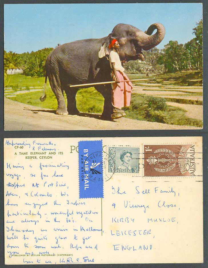 Ceylon Airmail Australia 3d 1/- 1964 Old Postcard A Tame Elephant and Its Keeper