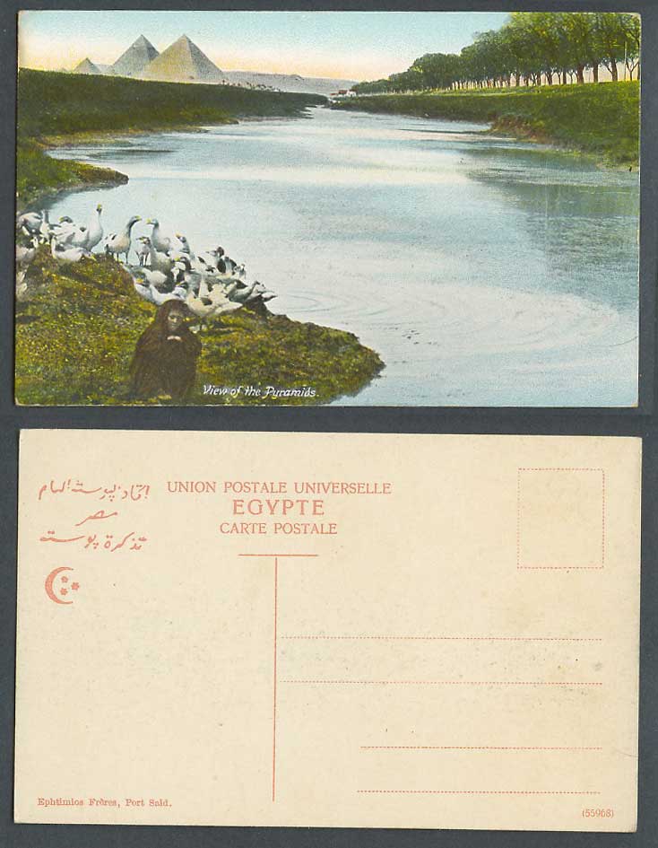 Egypt Old Postcard Cairo View of Pyramids, Egyptian Ducks Geese Birds Nile River