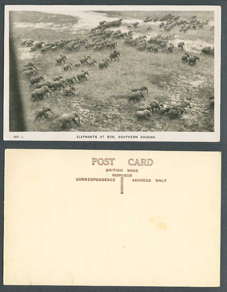 Sudan Old Real Photo Postcard Elephants at Bor Southern Soudan Animals, Air View