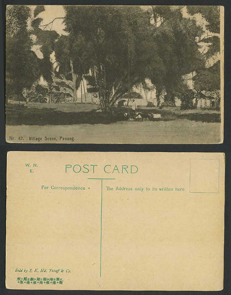 Penang Old Postcard Native Village Scene Trees, Malay Malaya Straits Settlements