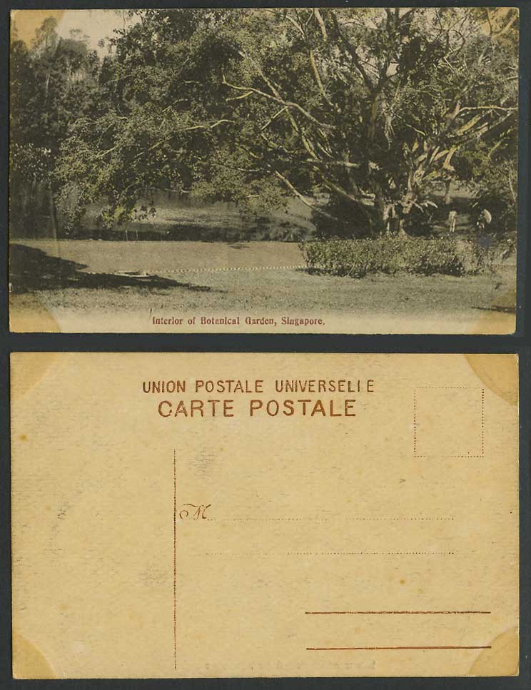 Singapore Old Postcard Interior of Botanical Garden Botanic Gardens Lake & Trees