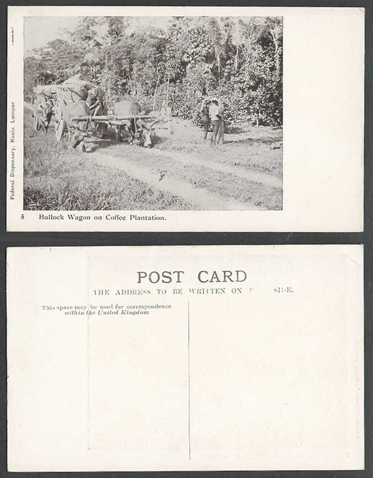 Malaya Bullock Wagon Coffee Plantation Native Farmers, Kuala Lumpur Old Postcard