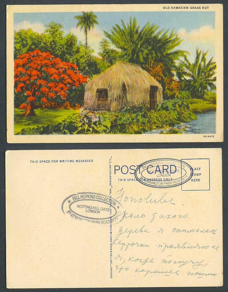 Hawaii Old Hawaiian Grass Hut House Palm Tree Blossom USA Vintage Color Postcard